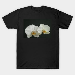 My New Orchid T-Shirt